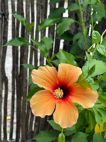 Pousada Quinta da Lagoa Azul旅馆主图