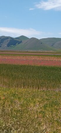 Castelluccio-翁布里亚必去景点