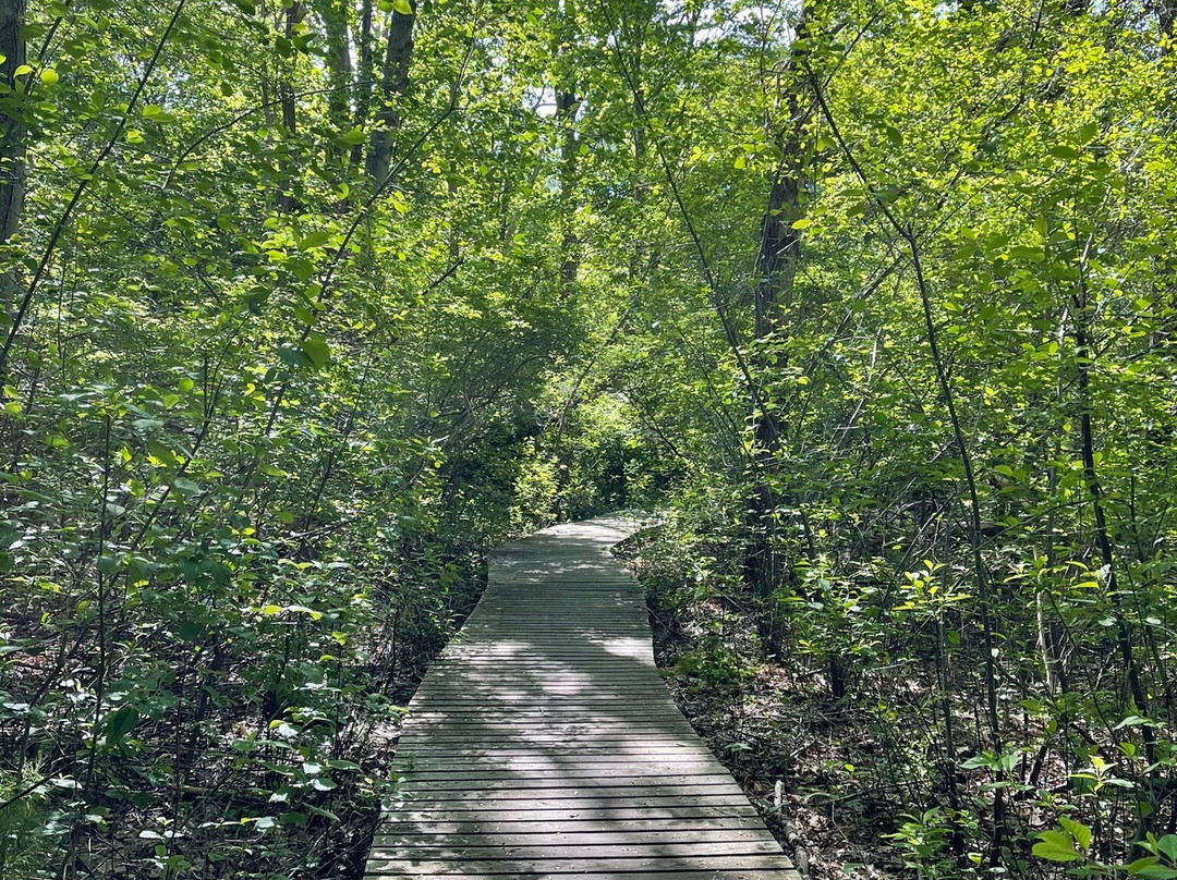 Marblehead Neck Wildlife Sanctuary景点图片