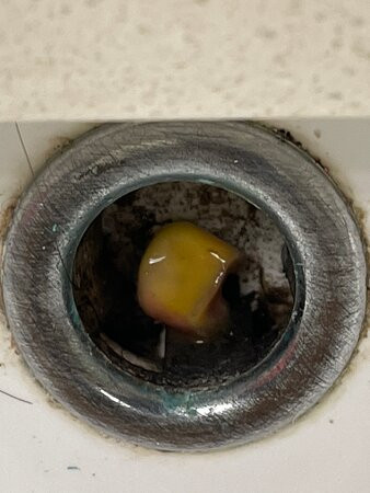 亚特兰大西20号洲际公路烛木套房酒店主图