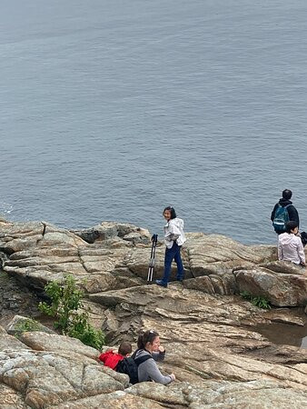 Otter Cliff景点图片