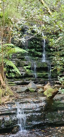 Myrtle Gully Aka Oates Falls景点图片