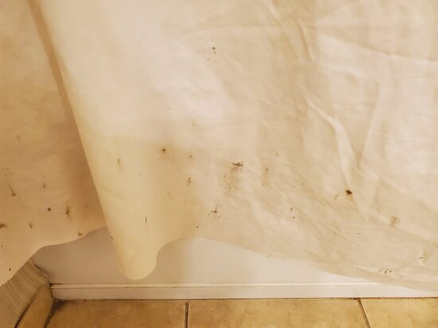 Wingate by Wyndham Charleston University Boulevard