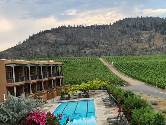 Burrowing Owl Estate Winery Guest House-官方