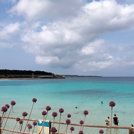 Cala Giovanna-Isola di Pianosa必去景点