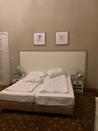 Hotel Gino Park Palace主图