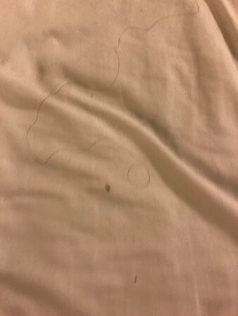 Red Roof Inn Detroit - Troy主图