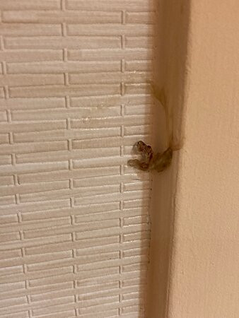 Fairfield Inn Kalamazoo West主图