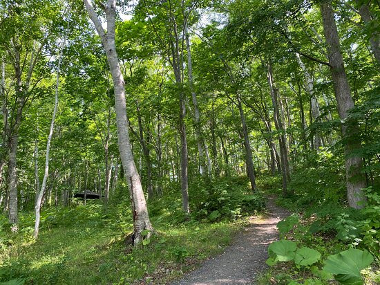 Lake Hangetsu Nature Park-俱知安町必去景点