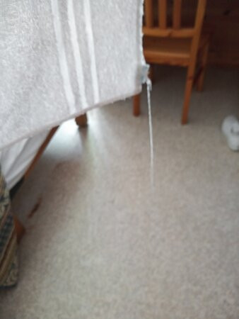 Hotel Villa Flora主图