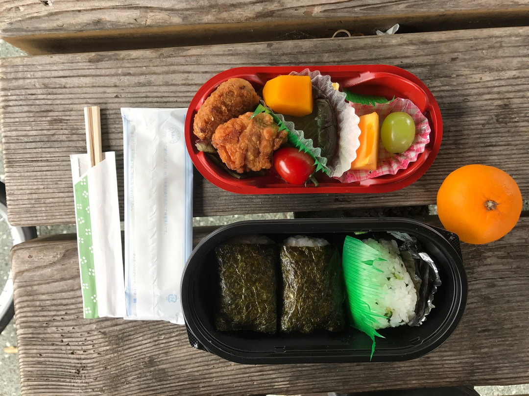 Totsukawa Onsen Ryokan Hirataniso主图
