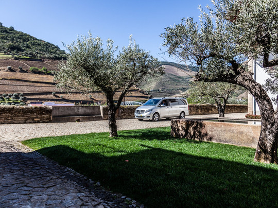 LAB Tours - Douro Valley Wine Experiences