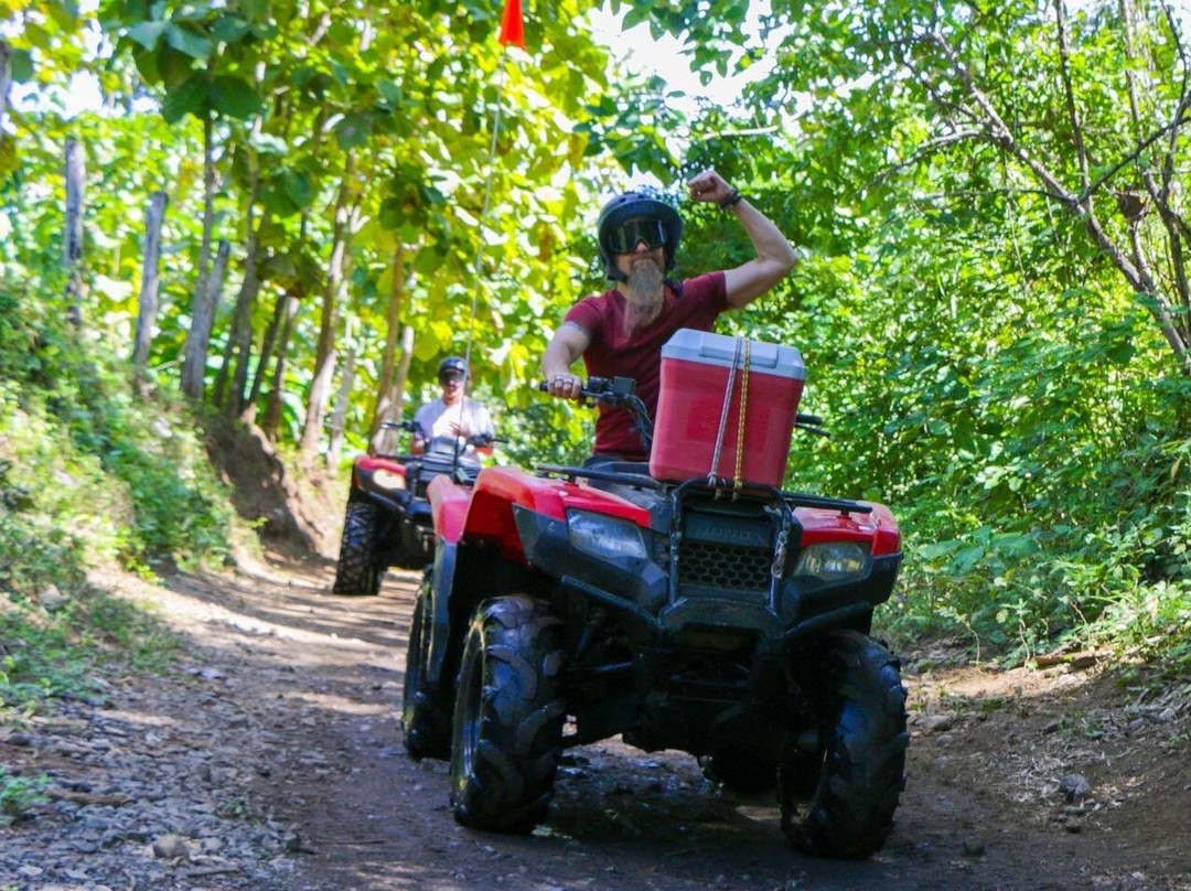 Coco Bay Adventure Tours景点图片