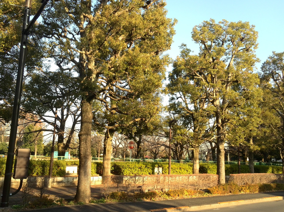Bunridai Park