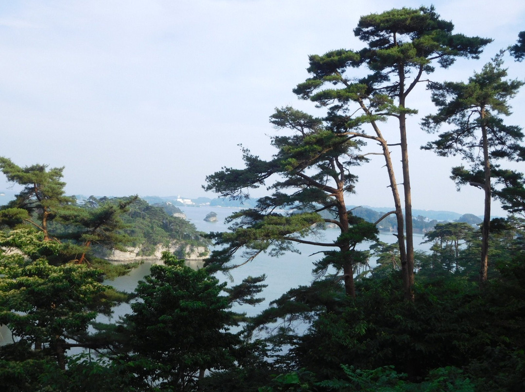 利府町旅游景点-Zuihogaoka Hill
