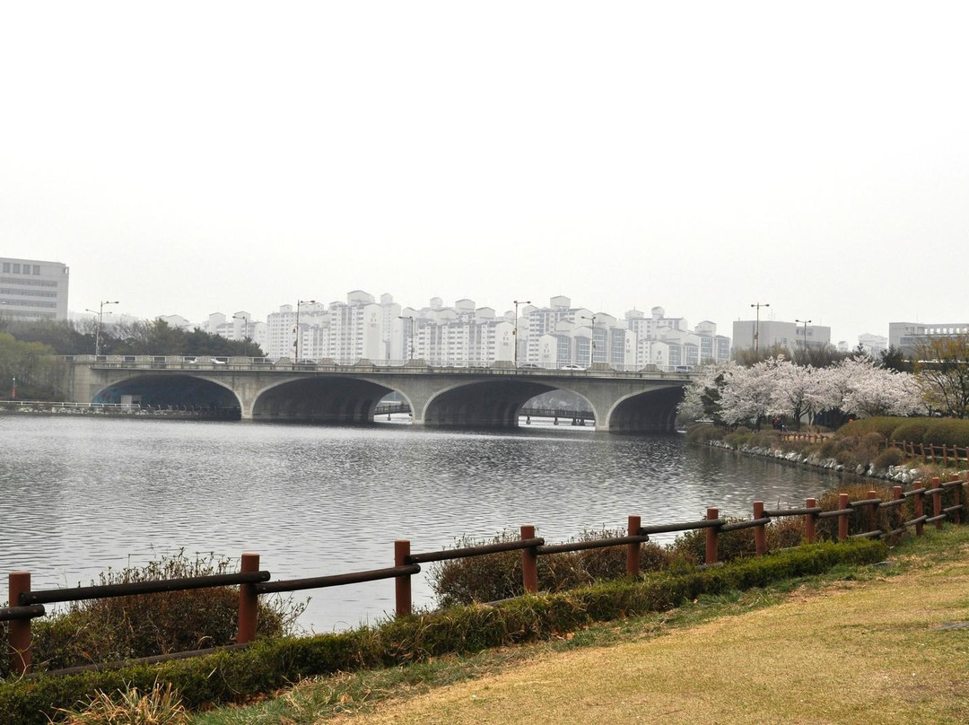 Ilsan Lake Park景点图片