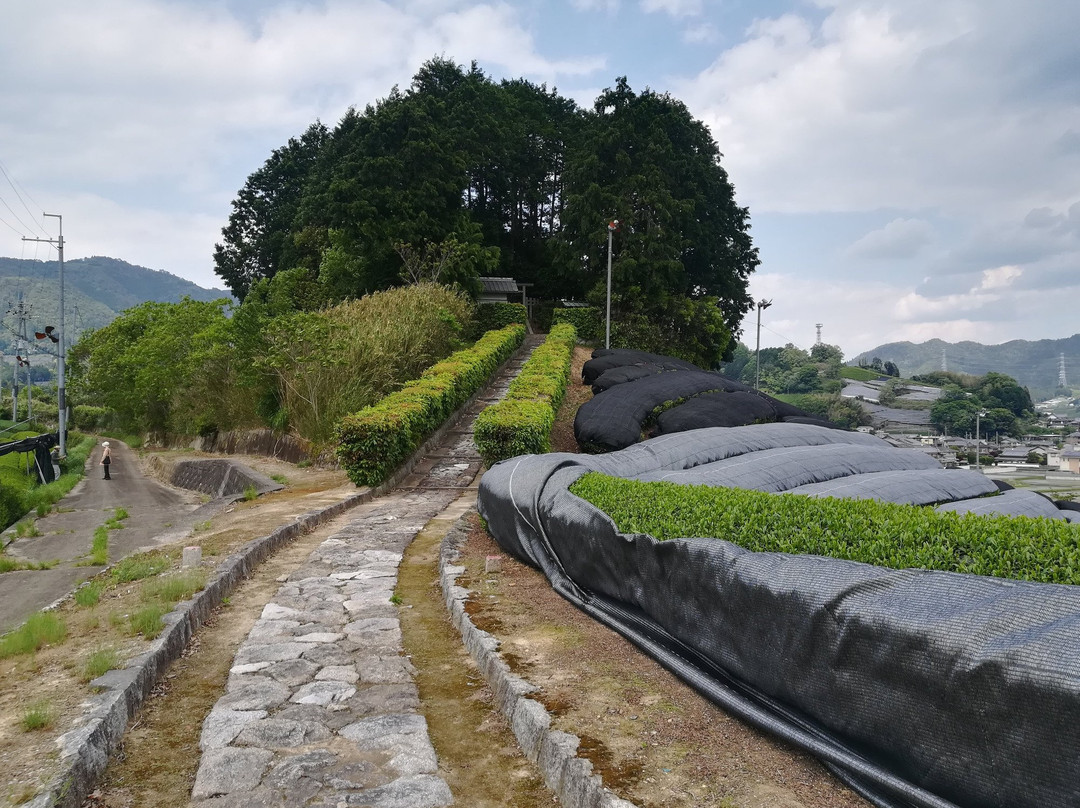 和束町旅游景点-Asaka Shinno Tombs