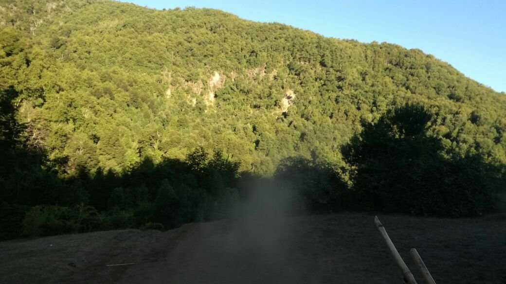 Reserva Natural Los Huemules del Niblinto-Coihueco必去景点