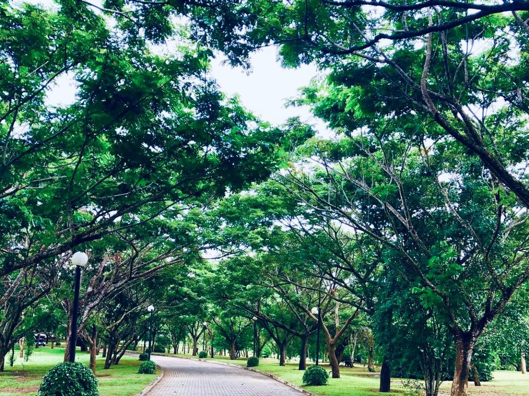Dry Zone Botanic Gardens - Hambantota景点图片
