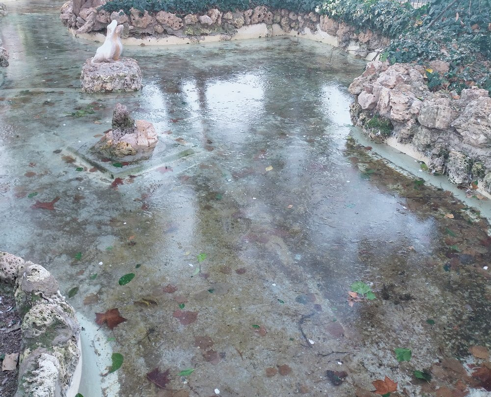Los Jardinillos景点图片