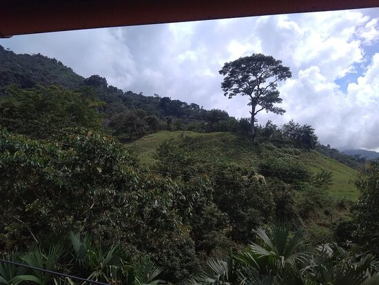 Hostal Finca San Rafael主图