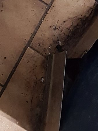 Bingemans Big Splash-基奇纳必去景点