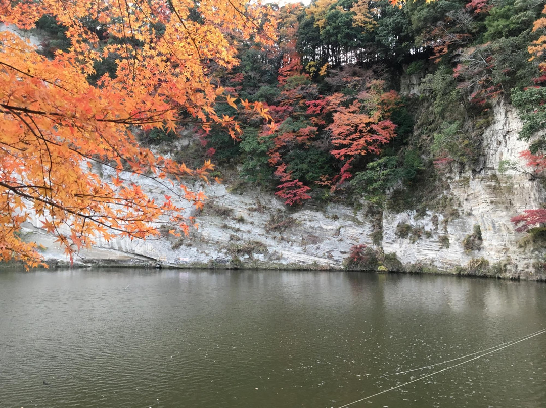 Kameyama Lake景点图片