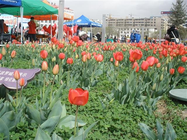 西宁北海公园景点图片