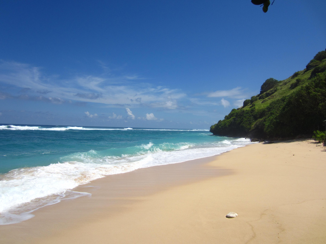 In Bali Tour - Private Tours-登巴萨必去景点