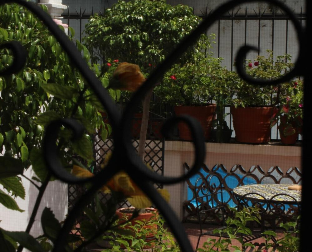 Ixcateopan de Cuauhtemoc酒店住宿-Casa de Huespedes Arellano