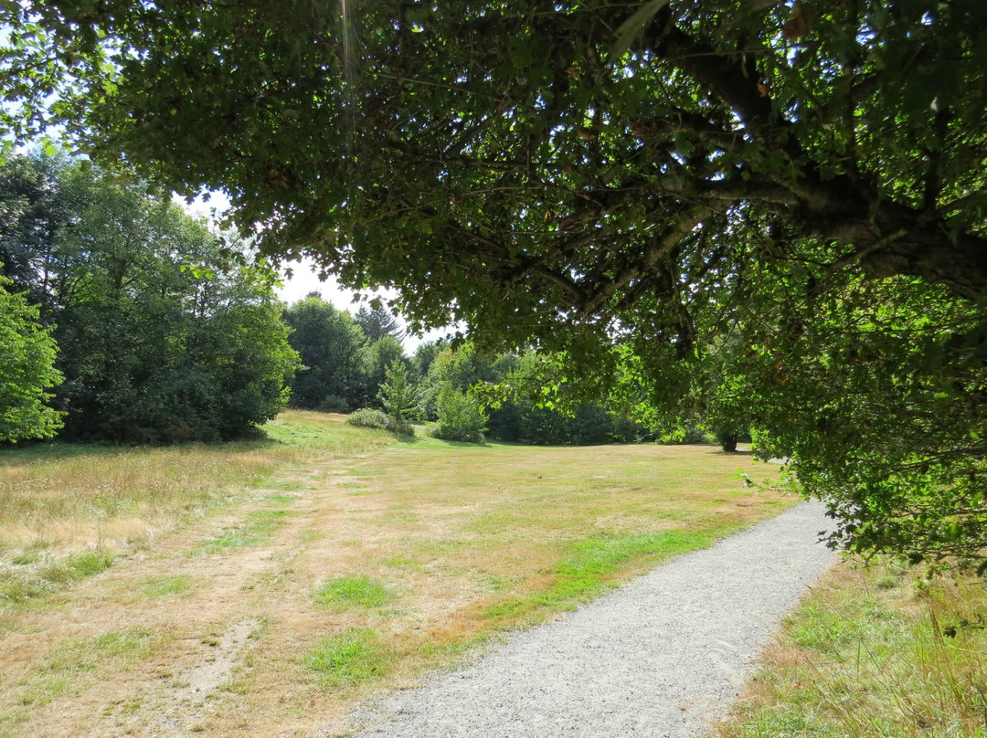 Aldergrove Park景点图片
