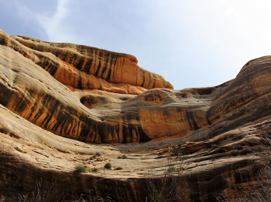 布兰丁旅游攻略图片
