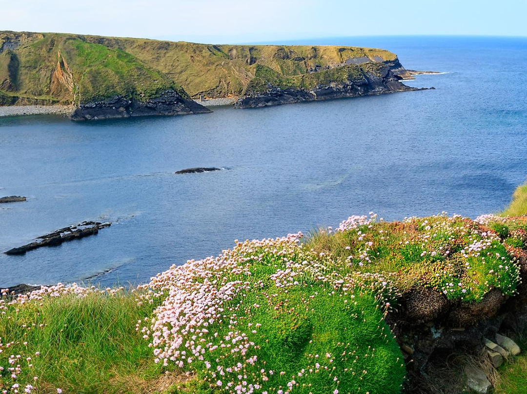 Ballybunion旅游攻略图片