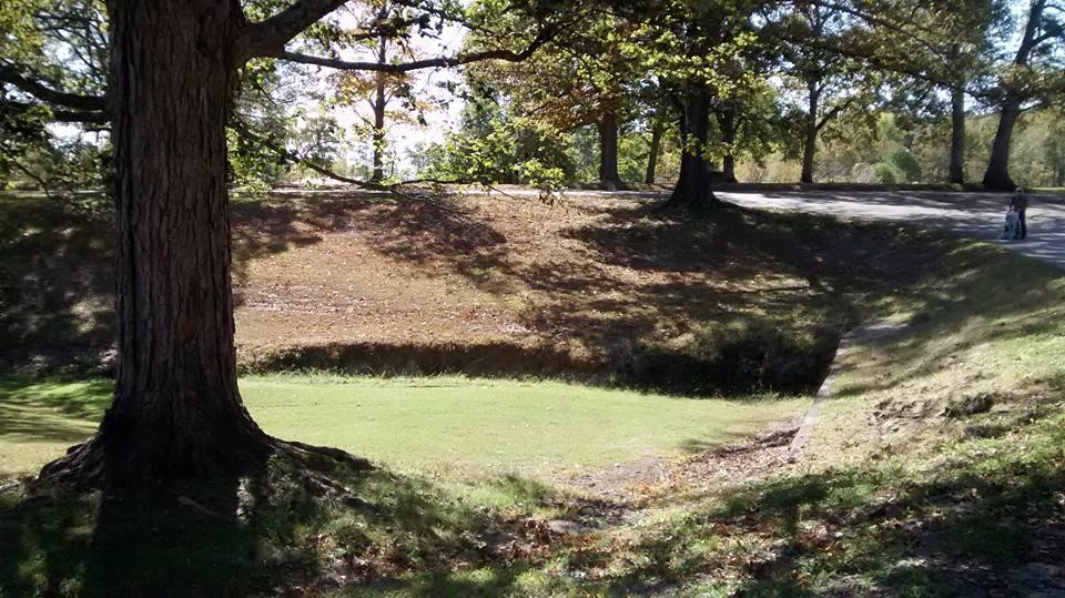 Flora旅游攻略图片