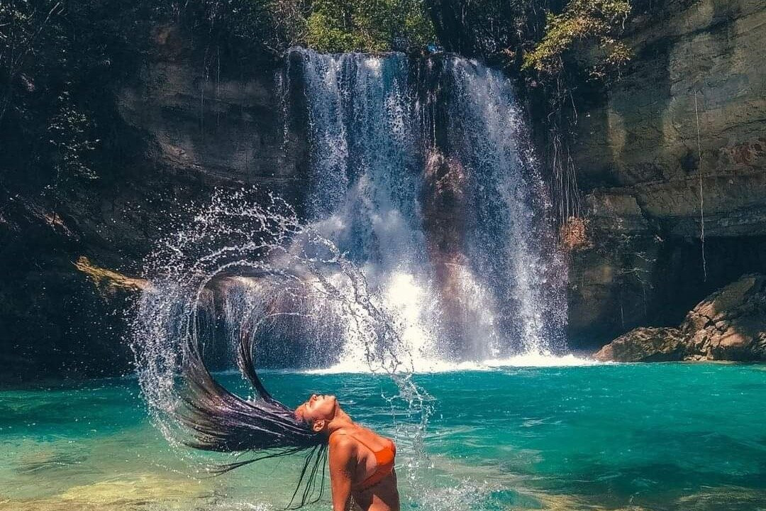 The Whales Las Ballenas