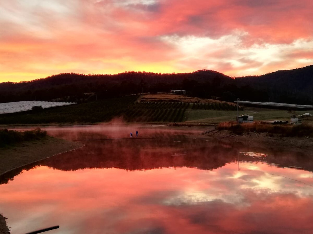 Cradoc旅游攻略图片