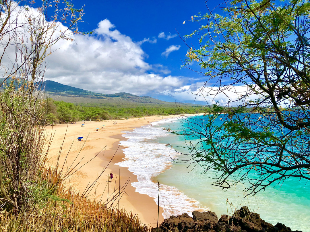 Big Beach景点图片