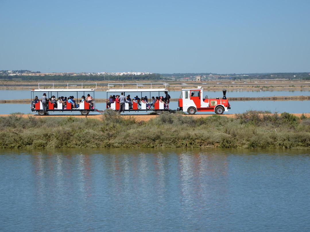 Las Marismas de Odiel景点图片