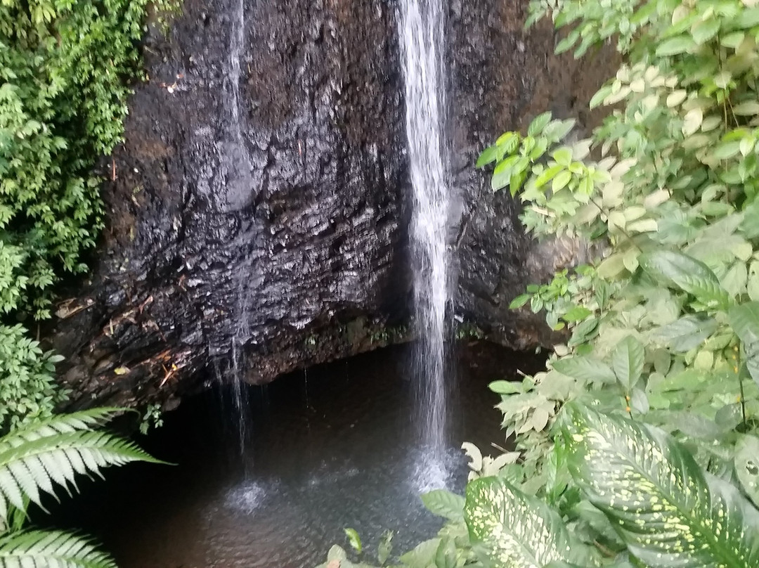 Coban Pawon Waterfall景点图片
