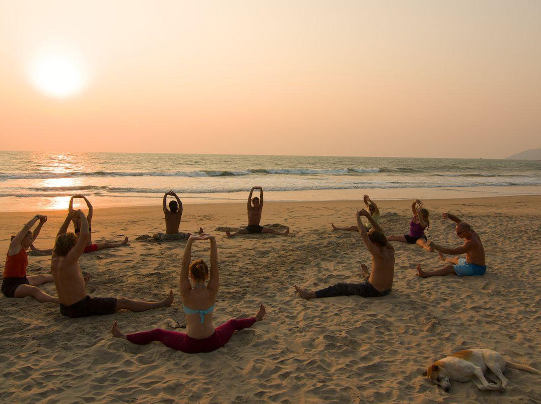 Bharat Yoga Session景点图片