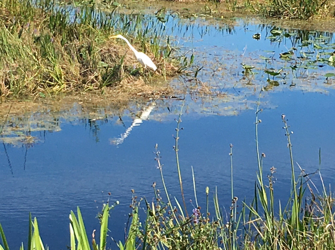 Arthur R. Marshall Loxahatchee National Wildlife Refuge
