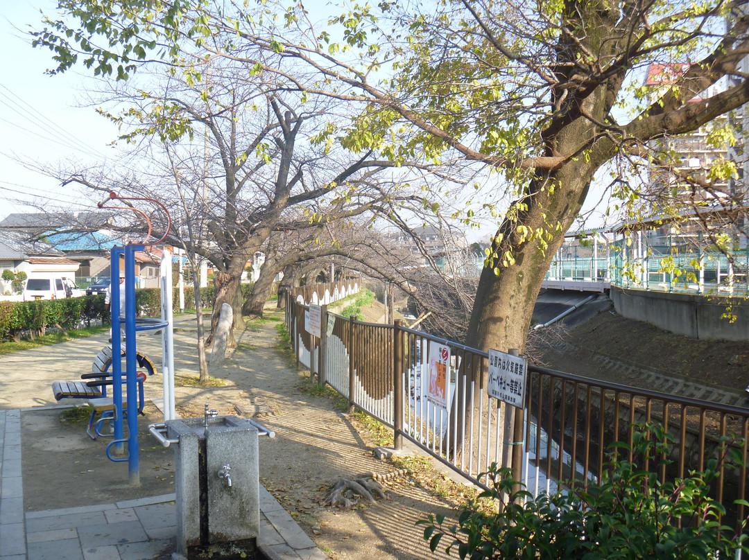 Tomorogi Ryokuchi Park景点图片