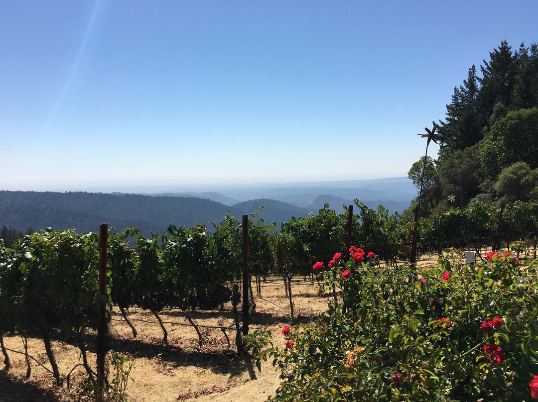 Loma Prieta Winery景点图片