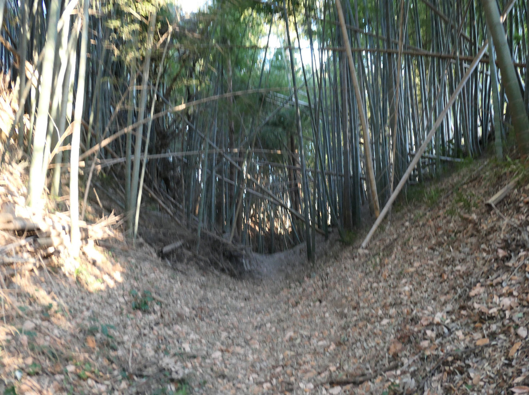 Ushiku Castle Ruins-牛久市必去景点