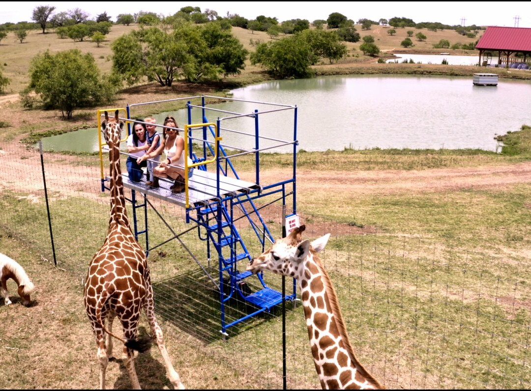 Blue Hills Ranch-McGregor必去景点