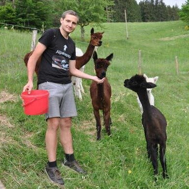 SteigAlpakas