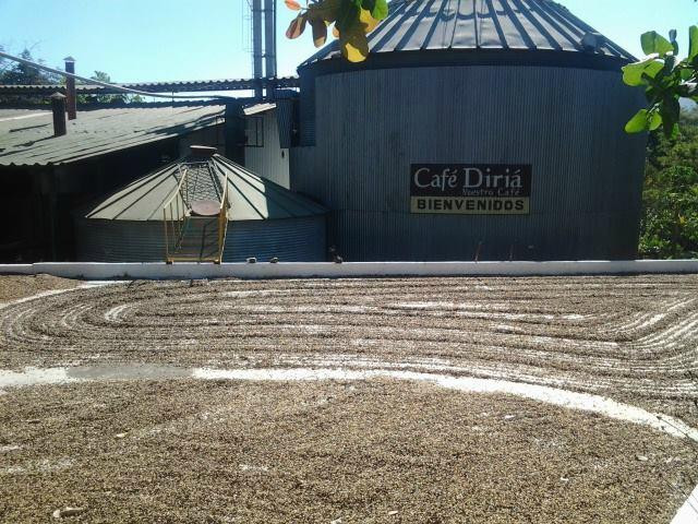 Diriá Coffee Tour景点图片