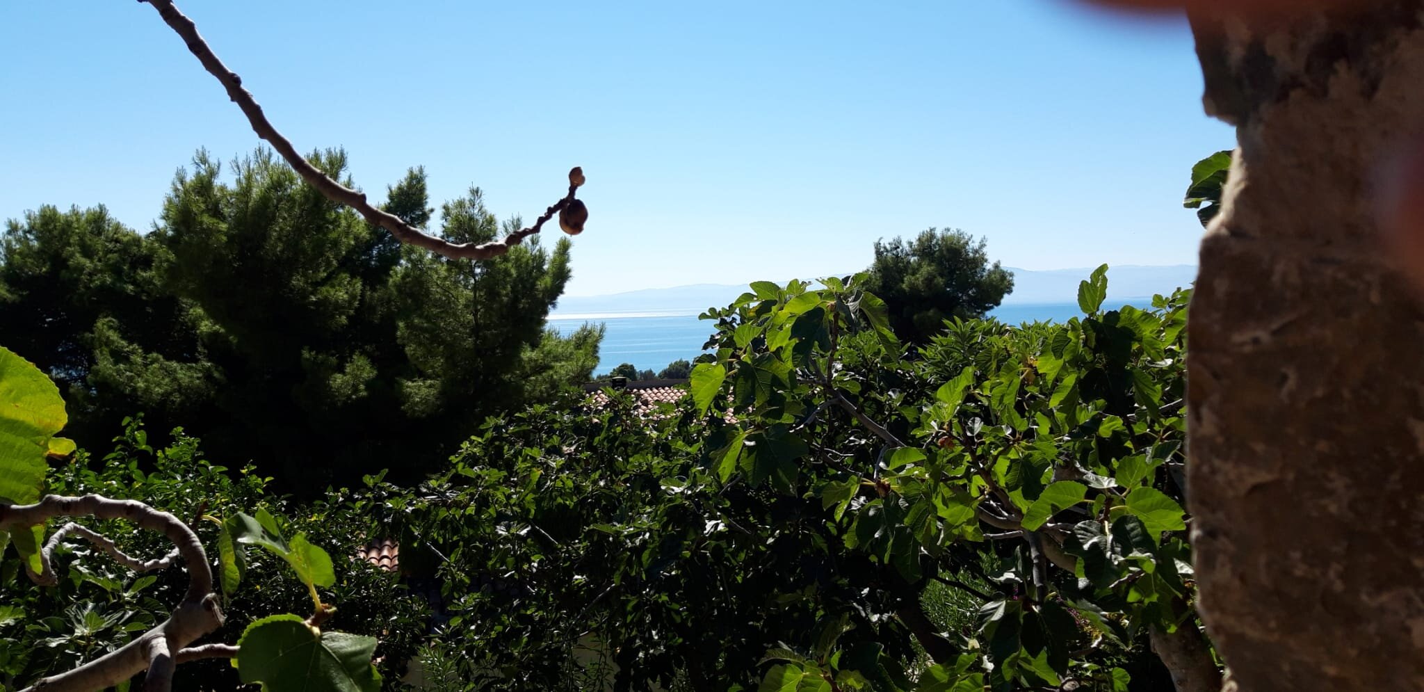 Masseria Torre di Albidona-浴室