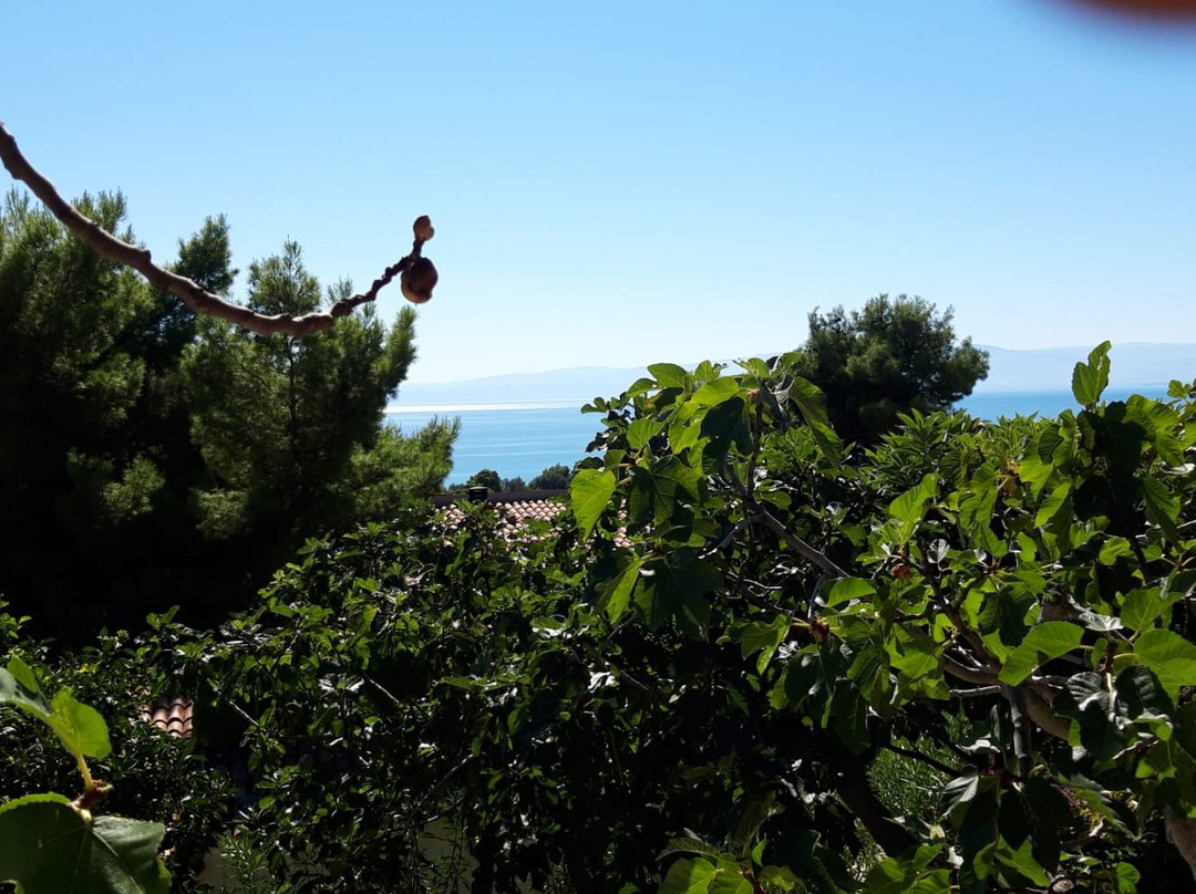 Masseria Torre di Albidona主图