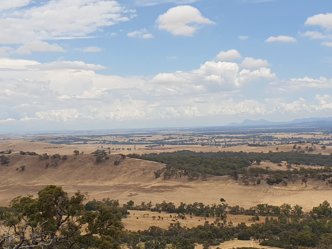 One Tree Hill Lookout-亚拉拉特山必去景点